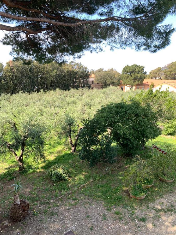 San Giuseppe Casa Per Ferie Ξενοδοχείο Quercianella Εξωτερικό φωτογραφία