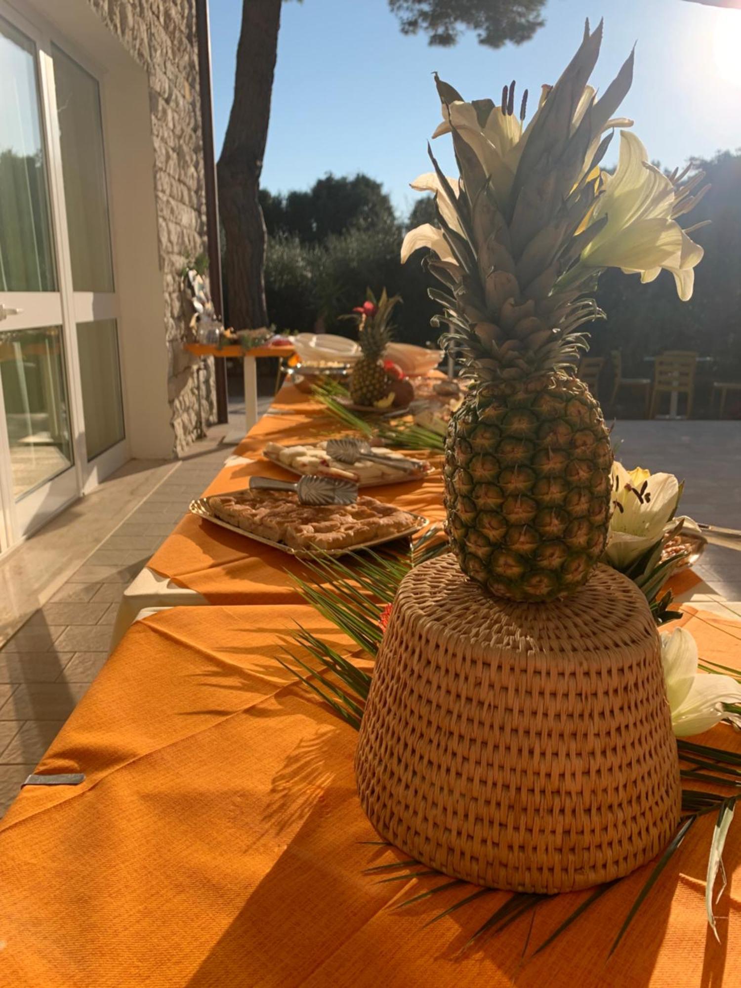 San Giuseppe Casa Per Ferie Ξενοδοχείο Quercianella Εξωτερικό φωτογραφία